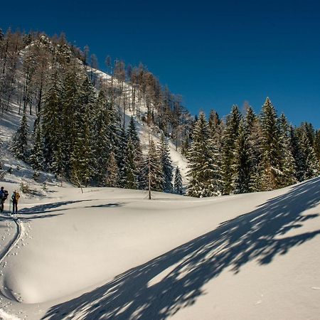 Naturparkresort Alte Schule Hieflau ภายนอก รูปภาพ
